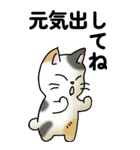 気遣い三毛猫（個別スタンプ：2）