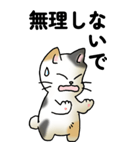 気遣い三毛猫（個別スタンプ：3）