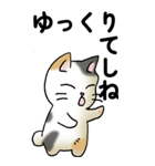 気遣い三毛猫（個別スタンプ：4）