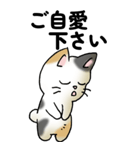 気遣い三毛猫（個別スタンプ：5）