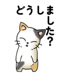 気遣い三毛猫（個別スタンプ：6）