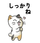 気遣い三毛猫（個別スタンプ：7）