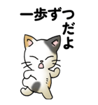 気遣い三毛猫（個別スタンプ：9）