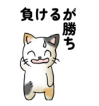 気遣い三毛猫（個別スタンプ：11）