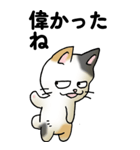 気遣い三毛猫（個別スタンプ：14）