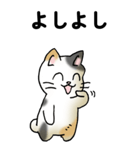 気遣い三毛猫（個別スタンプ：15）