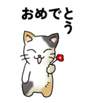 気遣い三毛猫（個別スタンプ：16）