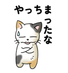 気遣い三毛猫（個別スタンプ：20）