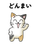 気遣い三毛猫（個別スタンプ：21）