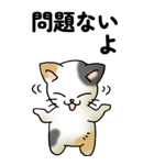 気遣い三毛猫（個別スタンプ：23）