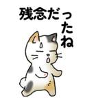 気遣い三毛猫（個別スタンプ：25）