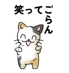 気遣い三毛猫（個別スタンプ：27）