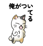 気遣い三毛猫（個別スタンプ：28）