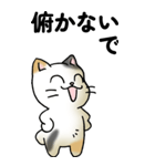 気遣い三毛猫（個別スタンプ：30）