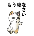 気遣い三毛猫（個別スタンプ：32）