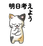 気遣い三毛猫（個別スタンプ：33）