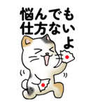 気遣い三毛猫（個別スタンプ：34）