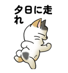 気遣い三毛猫（個別スタンプ：35）