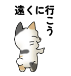 気遣い三毛猫（個別スタンプ：36）
