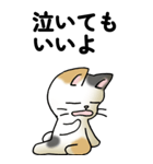気遣い三毛猫（個別スタンプ：38）