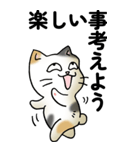 気遣い三毛猫（個別スタンプ：39）
