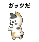 気遣い三毛猫（個別スタンプ：40）