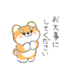 まろたろうの敬語スタンプ（個別スタンプ：38）