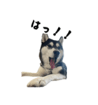 クオンな日常（個別スタンプ：3）