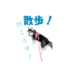 クオンな日常（個別スタンプ：4）