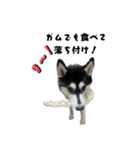 クオンな日常（個別スタンプ：5）