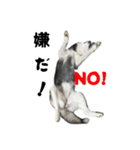 クオンな日常（個別スタンプ：8）