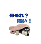 クオンな日常（個別スタンプ：10）