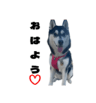 クオンな日常（個別スタンプ：12）