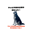 クオンな日常（個別スタンプ：13）