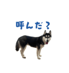 クオンな日常（個別スタンプ：16）