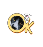 癒されるねこちゃん（個別スタンプ：4）
