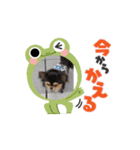 殿様わん仔（個別スタンプ：7）