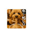 【動く3D】トイちん スタンプ（個別スタンプ：1）