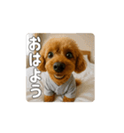 【動く3D】トイちん スタンプ（個別スタンプ：5）
