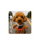 【動く3D】トイちん スタンプ（個別スタンプ：6）