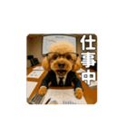 【動く3D】トイちん スタンプ（個別スタンプ：8）