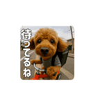 【動く3D】トイちん スタンプ（個別スタンプ：9）