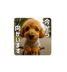 【動く3D】トイちん スタンプ（個別スタンプ：13）