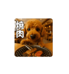 【動く3D】トイちん スタンプ（個別スタンプ：14）