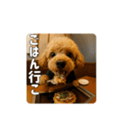 【動く3D】トイちん スタンプ（個別スタンプ：16）