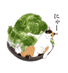 夏の猫分補給スタンプ（個別スタンプ：2）
