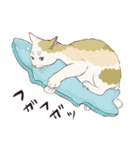 夏の猫分補給スタンプ（個別スタンプ：5）