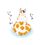 夏の猫分補給スタンプ（個別スタンプ：8）