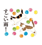 夏の猫分補給スタンプ（個別スタンプ：16）