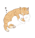 夏の猫分補給スタンプ（個別スタンプ：20）